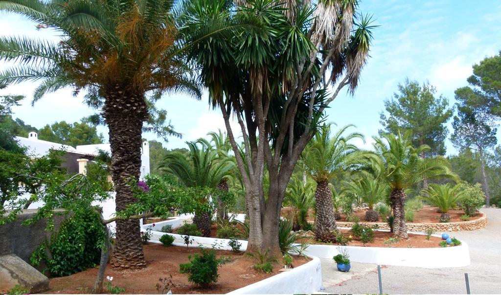 Hacienda Encanto Del Rio Playa DPlaya Des Figueral المظهر الخارجي الصورة